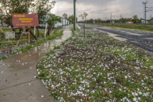 Rosewood cops beating in violent hailstorm