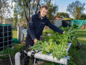 From fish to dish hydroponics food source a winner
