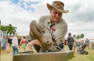 Take a trip to the time of dinosaurs