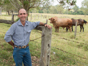 Heat stressed heifers key reason for stock losses