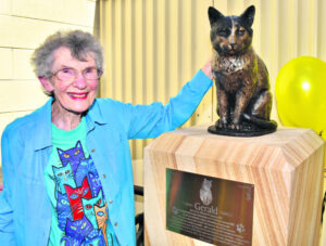 Welcome home to Gerald the Town Cat