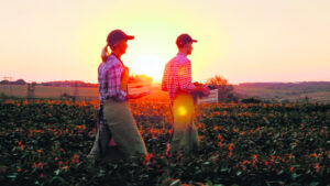 Agriculture workforce study shifts the numbers on age, education and jobs