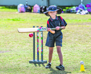 Twelve teams compete for first Bushies Cup