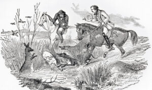 The great Fassifern marsupial hunt: A dire and dreadful slaughter