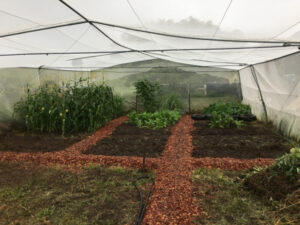 Seeds of hope grow grant success