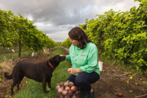 Diversification and agritourism help strawberry farmers thrive