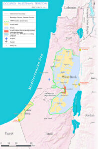 The Beauty of Life – Collateral Damage