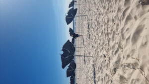 Sculpture festival success for Jimboomba artist