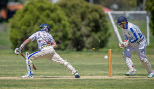 Bushrangers back in winning form at home