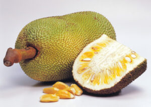 Australian jackfruit AgriFutures project