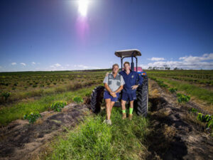 Business fixer becomes farmgate tourism pioneer