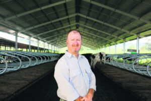 Cartel and confusion or lifeline for Queensland dairy?