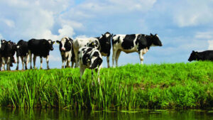 Drought officially declared over