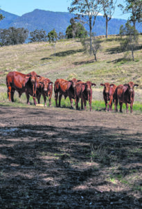 Event beefed up with federal cash splash