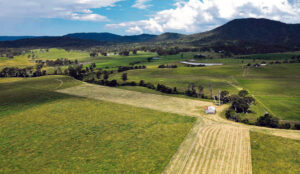 Multi-million-dollar Nindooinbah farming property sold