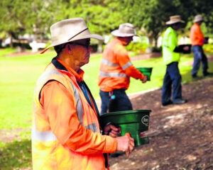 Battle to contain fire ants springs into action