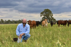 Good feed, power hikes, poor market and breeding Wagyu