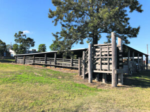 Anatomy of an expensive failure