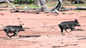 Dave’s shooting for a better state of mind