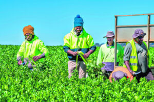 Forum tackles ag workforce challenges