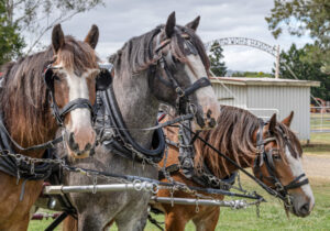 Signature event comes to town