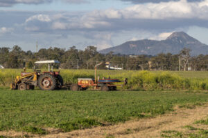 Out with pick per piece rate, in with minimum wage: Fair Works ruling for growers