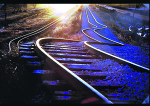 The Beauty of Life – Walking on the Crust