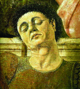 The Beauty of Life – The Greatest Picture in the World