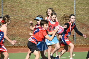 Fassifern’s outstanding netball carnival success
