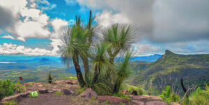 Lonely Planet ranks Scenic Rim in world’s top 10 travel regions