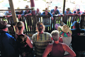 Beaudesert Saleyard dispute bound for court as talks break down