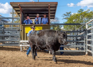 Primed and ready as show time near