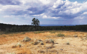 Tent embassy planned to protect burial sites at Deebing Creek