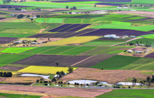 AgMove extended to encourage more workers into short term jobs on farms