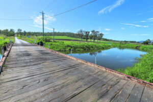 Bridges on a recurring theme