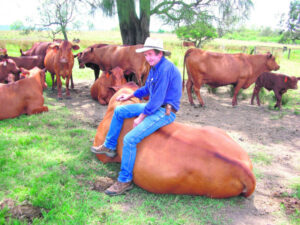 Ekka draws the champions and the rarer breeds