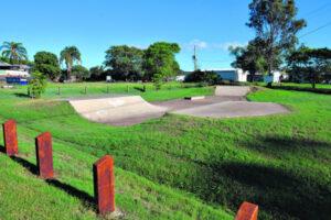 Lions have shady plans for the sun blazed skate park