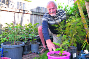 A legacy of trees: one man’s mission to leave a greener future for Boonah