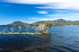 Education on the agenda to assist restocking projects