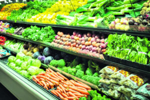 Farmgate prices must increase to keep growers viable says Growcom boss