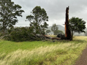 Ex-TC Alfred: Power outages and heavy skies in Scenic Rim