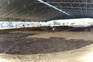 When they build it everyone will come