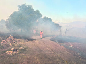 Wildfire response biggest in decades