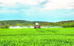 Scrambling for an alternative to two potent weed killers