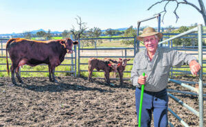 Sextuplet of twins in a decade of days