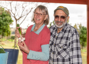 Joe’s garlic adds flavour from crop to tabletop