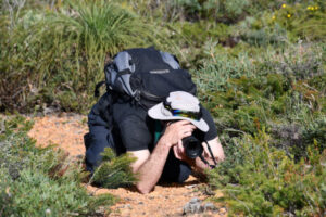 Take a snap then send it back to help grow native species register