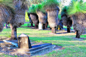 The Beauty of Life – For Whom the Bell Tolls