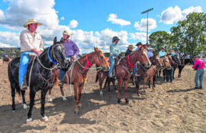 Drafting top competition from daylight to dusk