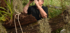 Fauna, flora and fun for Fassifern’s citizen scientists